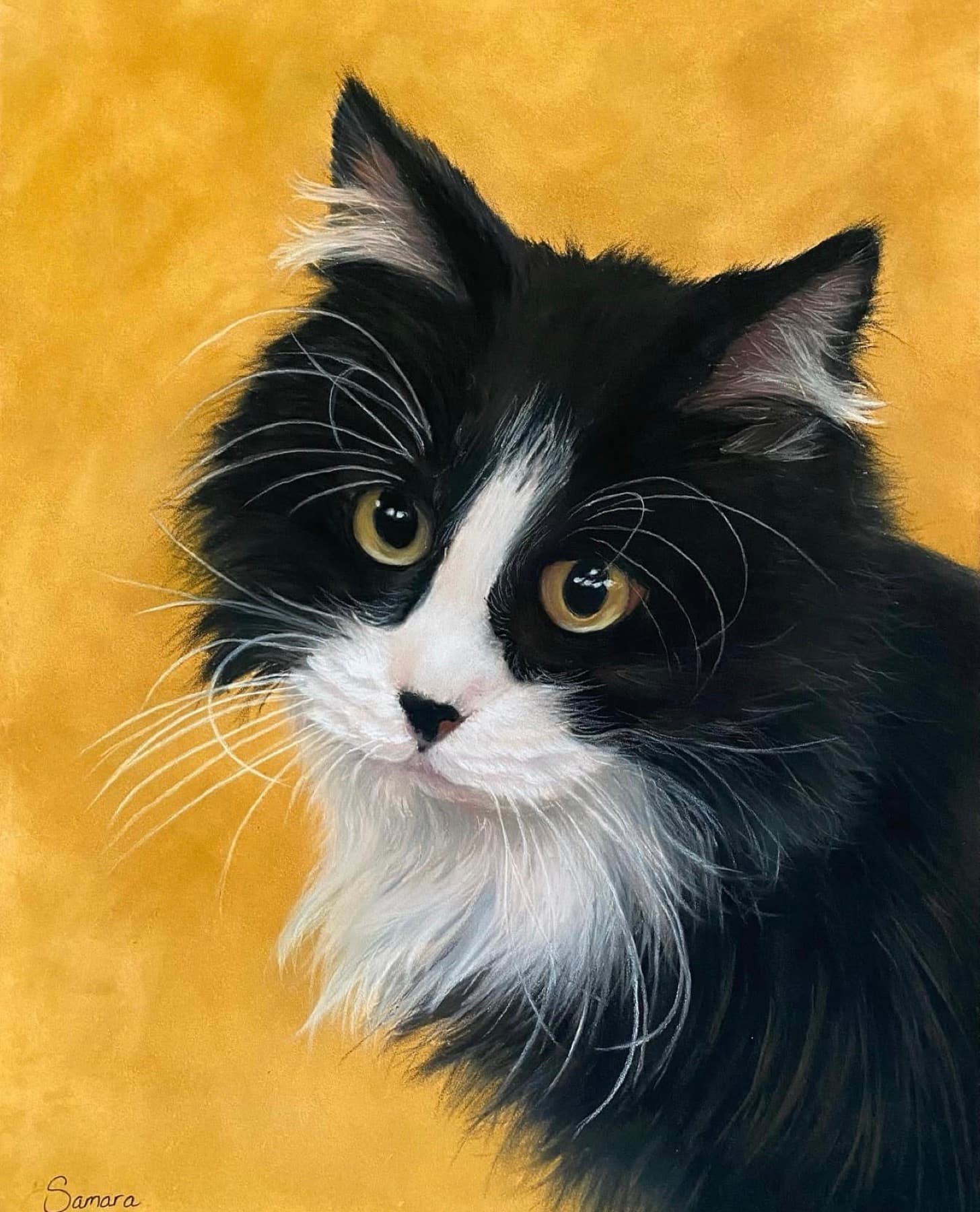 Pastel portrait of Glynn, a black and white cat