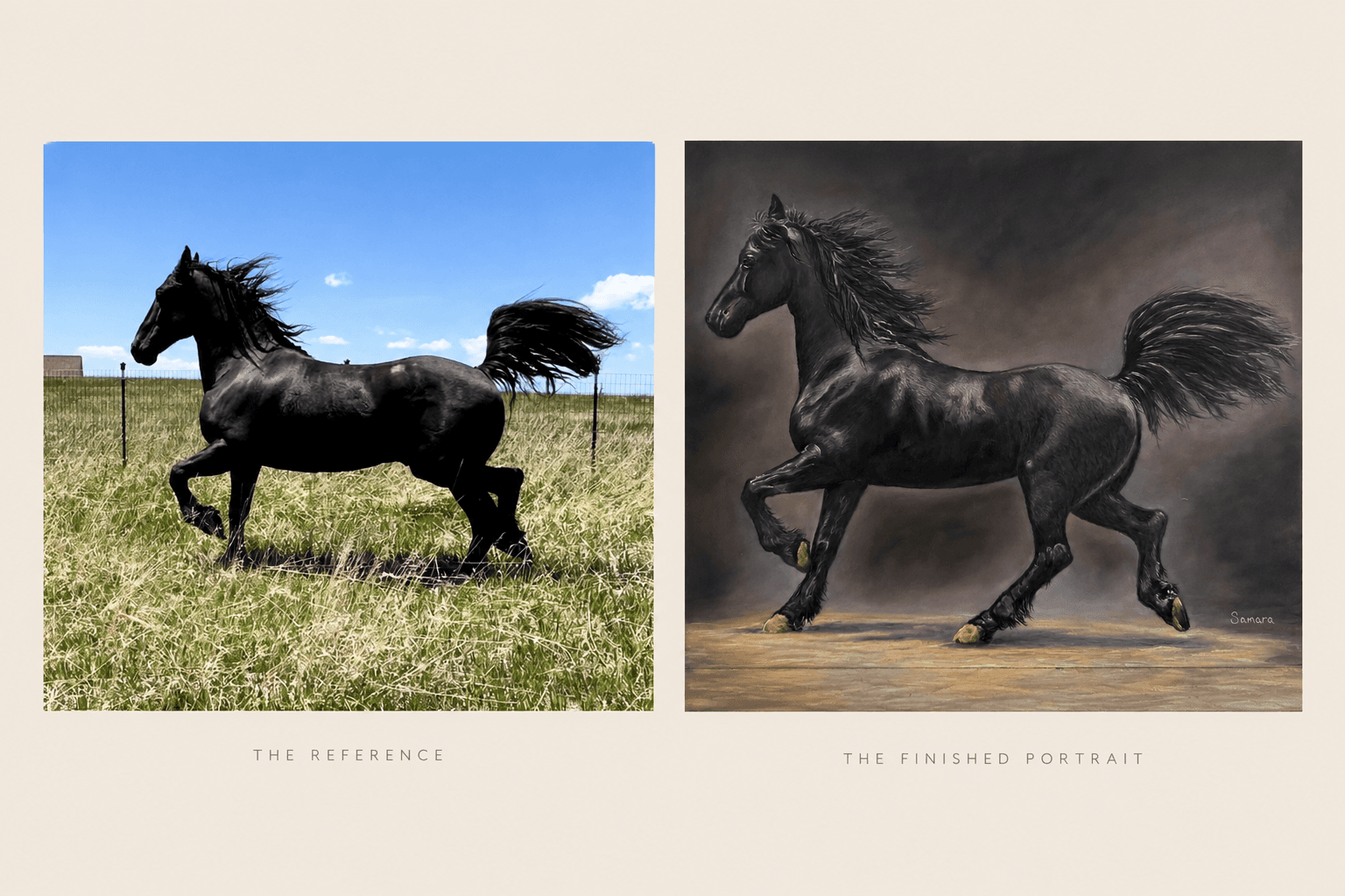 Comparison of the reference photograph and Samara's finished pastel portrait of a black horse