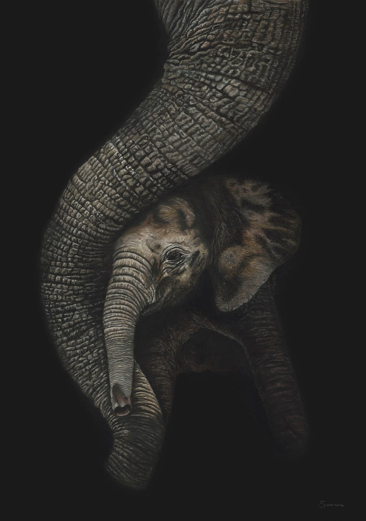 In the Shadows of Love — Elephants, Pastel pencil on Pastelmat