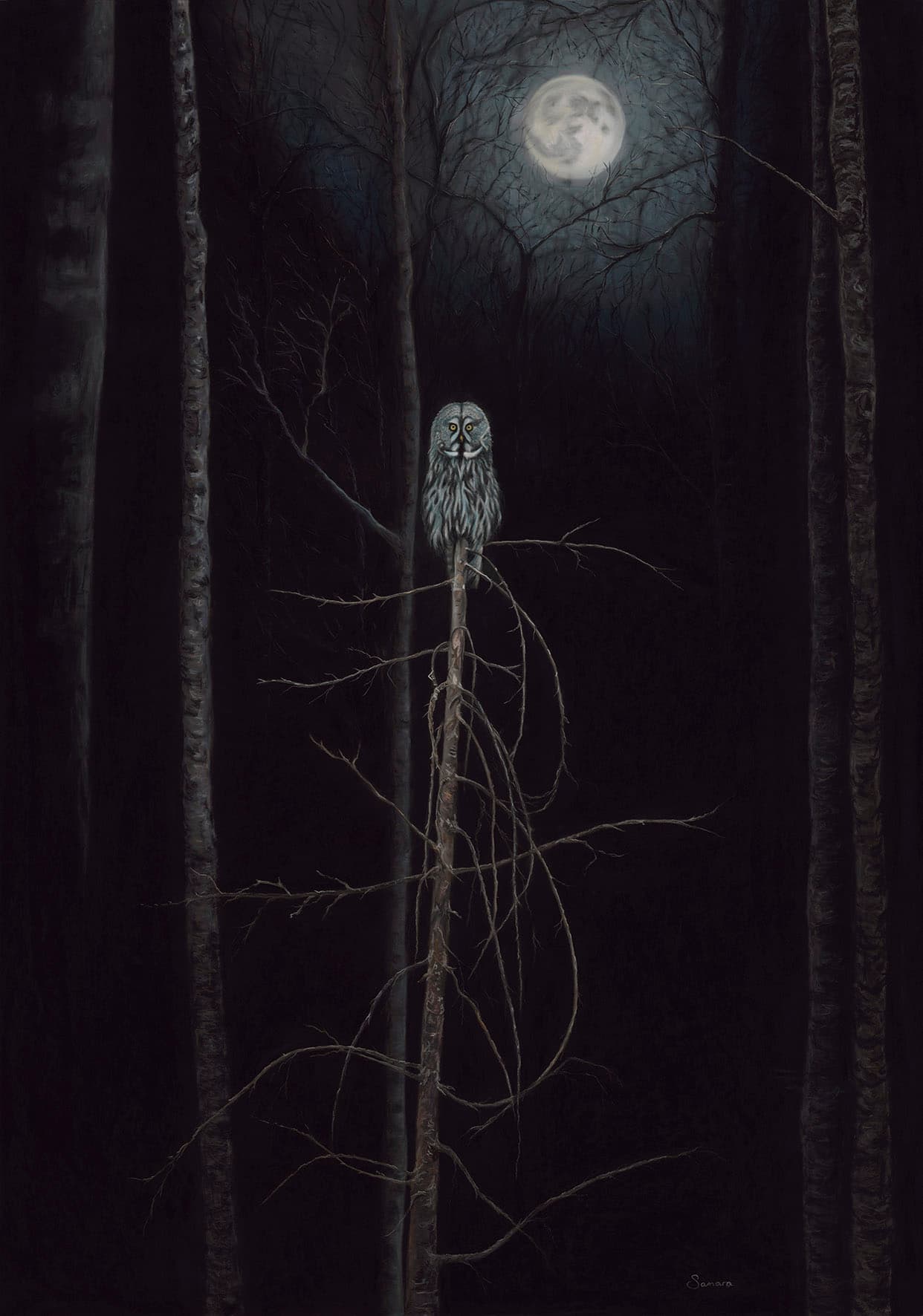 In the Stillness — Owl, Pastel pencil on Pastelmat