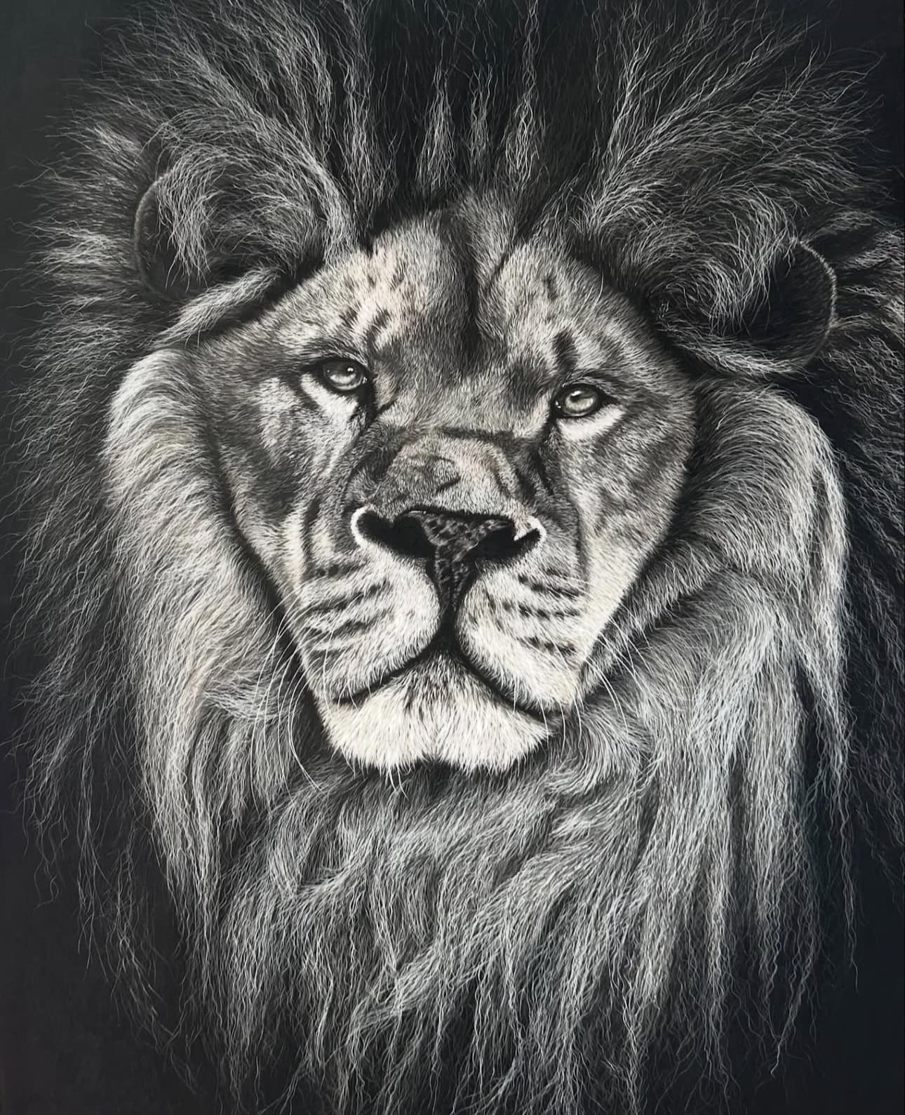 Out of the Shadows — Lion