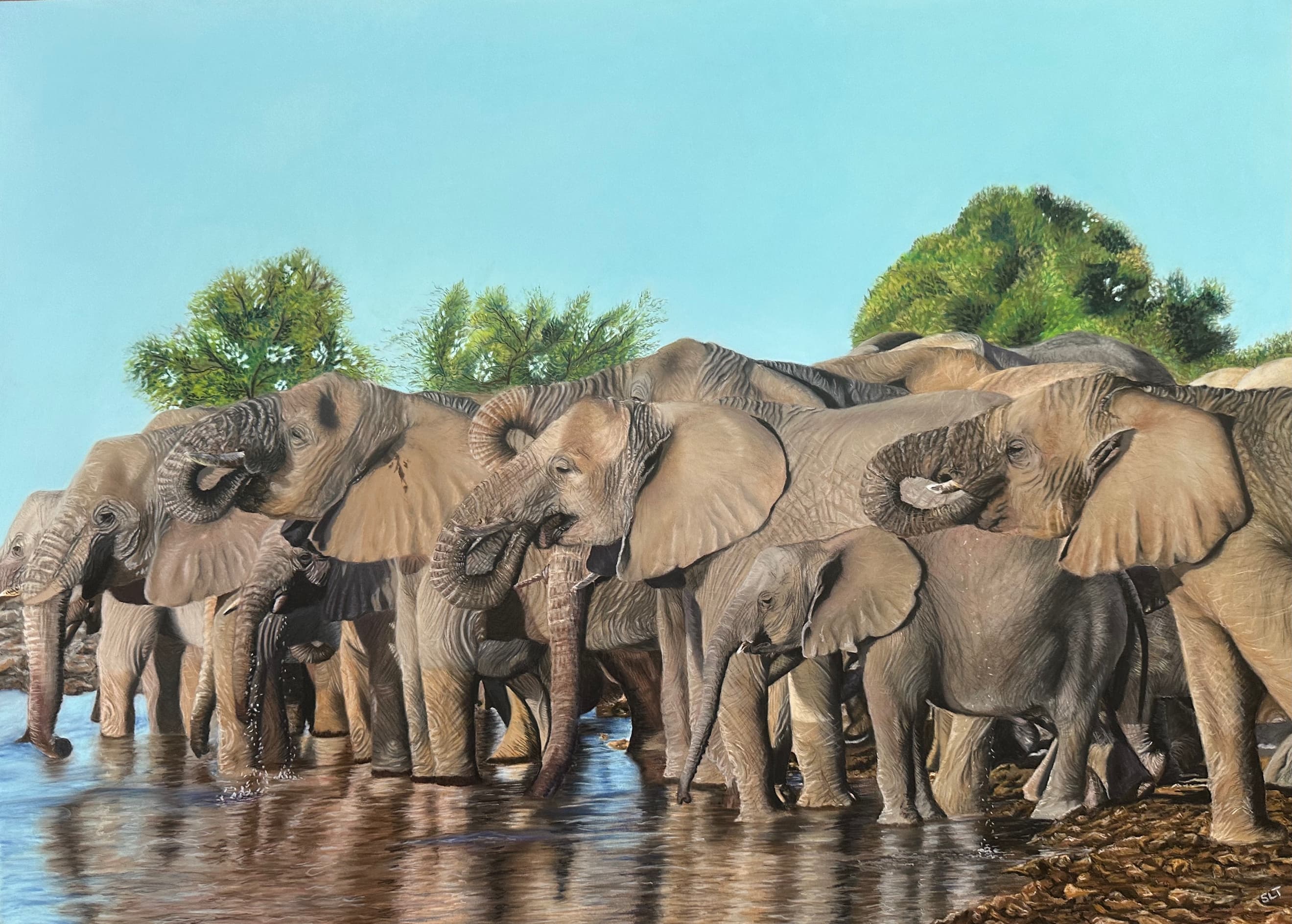 Rhapsody at the Watering Hole — Elephant herd
